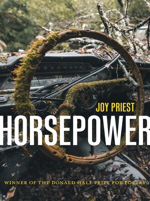 Horsepower - ebook